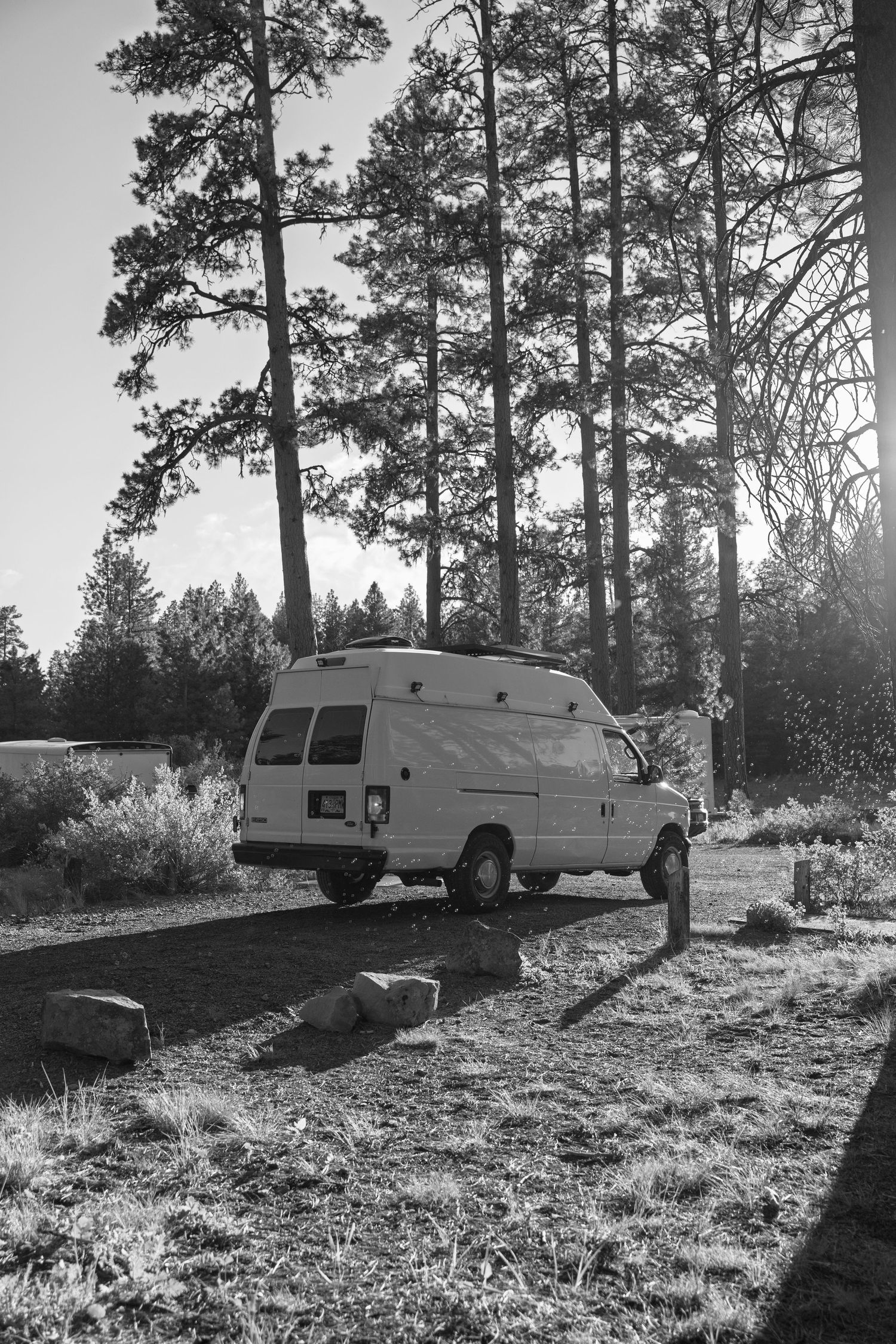 Black and white landscape of camper vans parked on a hillside among pine trees.