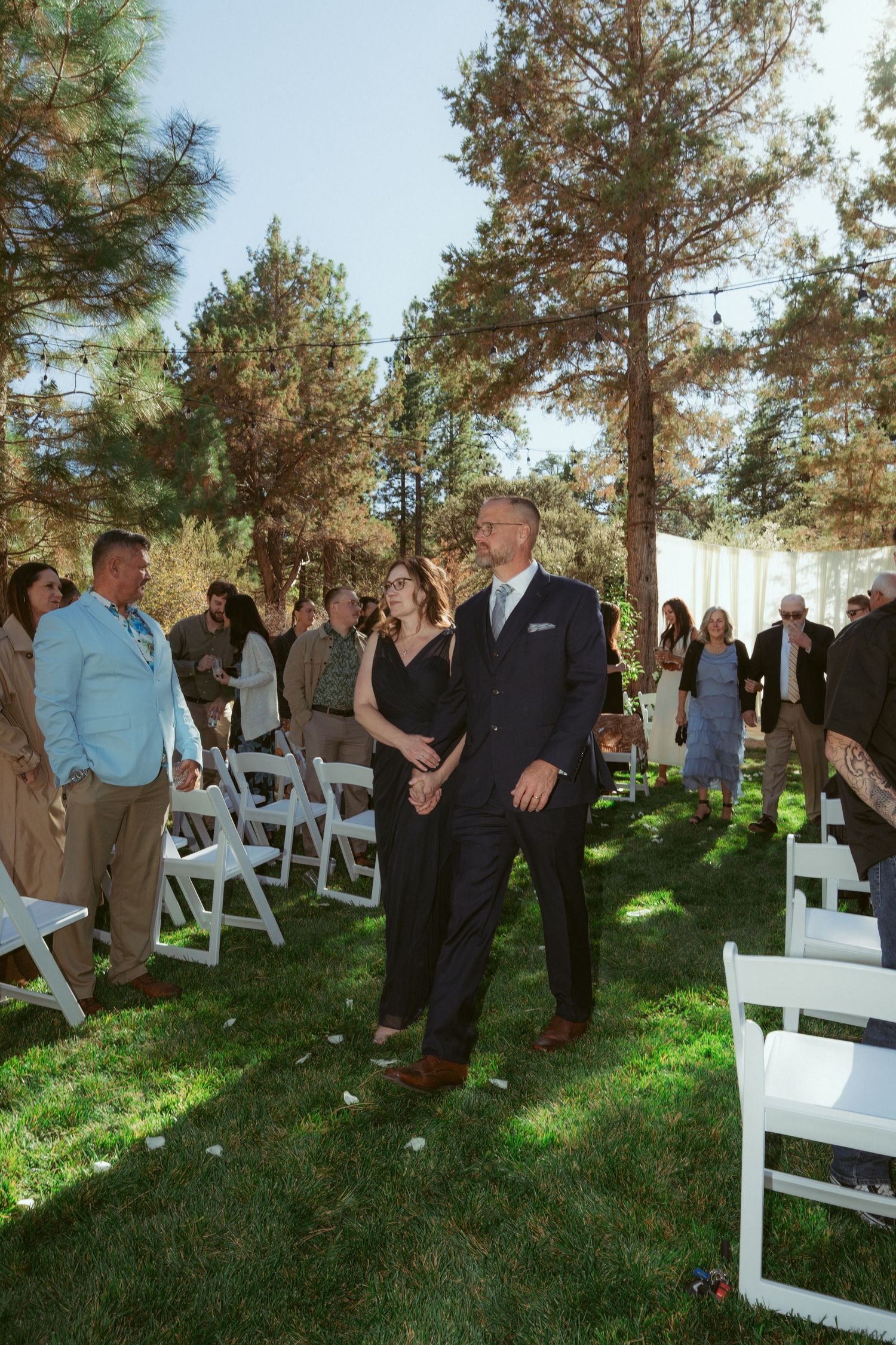 Outdoor wedding ceremony space with white folding chairs arranged on grass beneath towering pine trees.