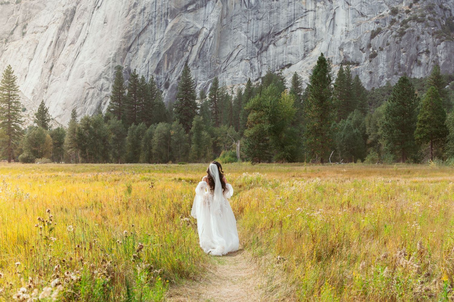 Romantic wedding scene in Yosemite meadow with tall granite cliffs and evergreen trees.