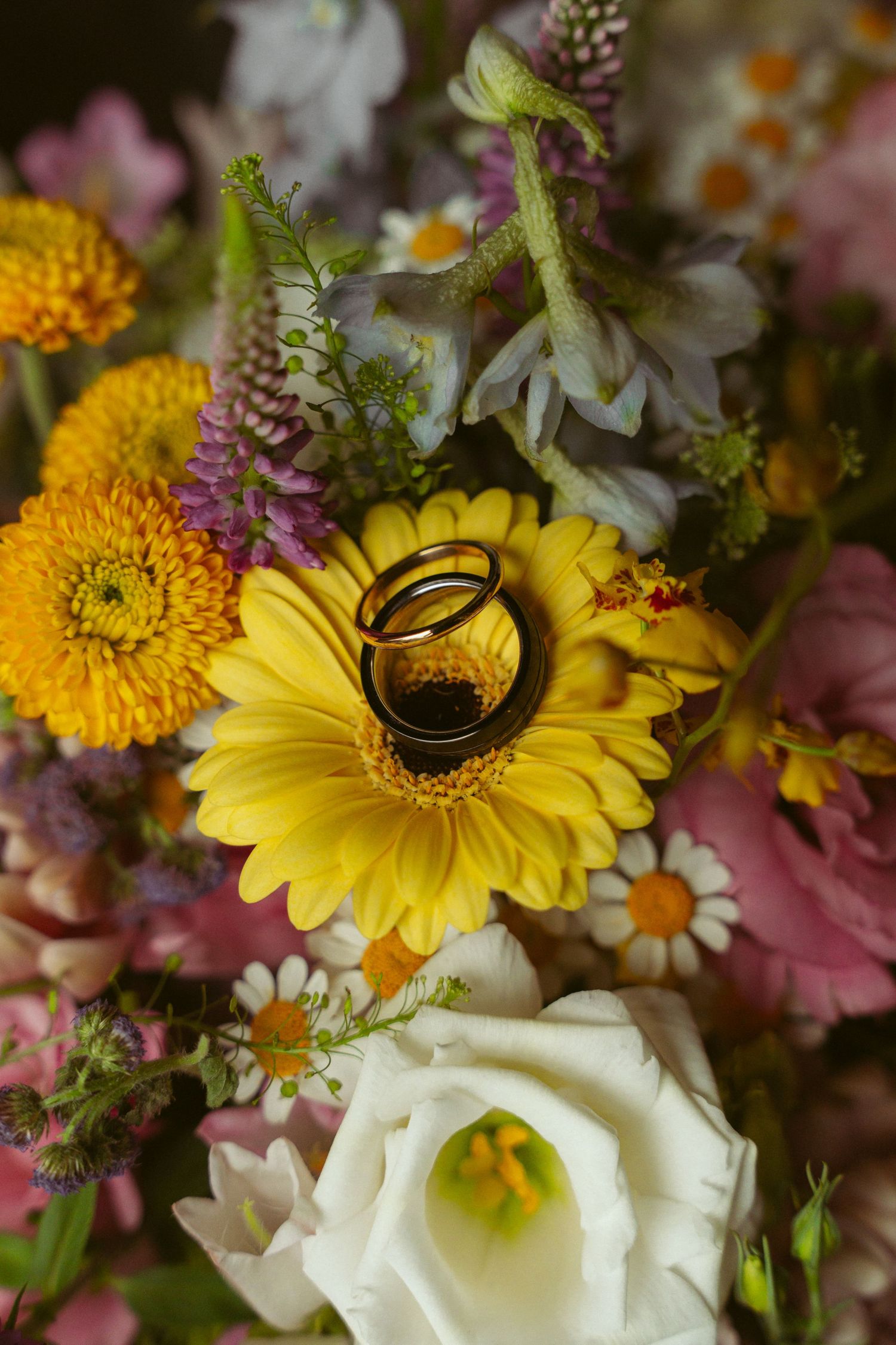 Two gold wedding rings rest on a vibrant yellow gerbera daisy in a colorful wildflower bouquet.
