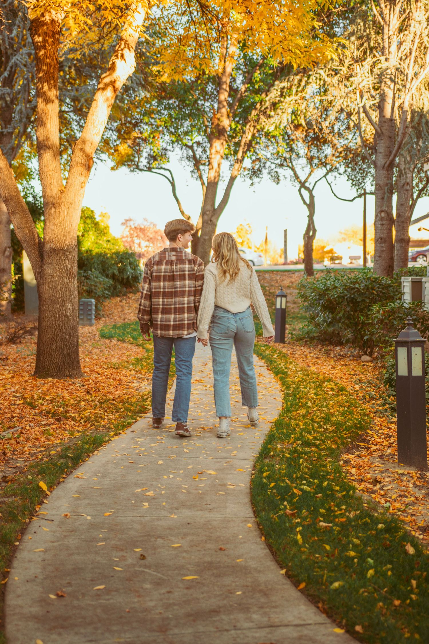 A couple walks hand in hand down a path lined with golden autumn trees.