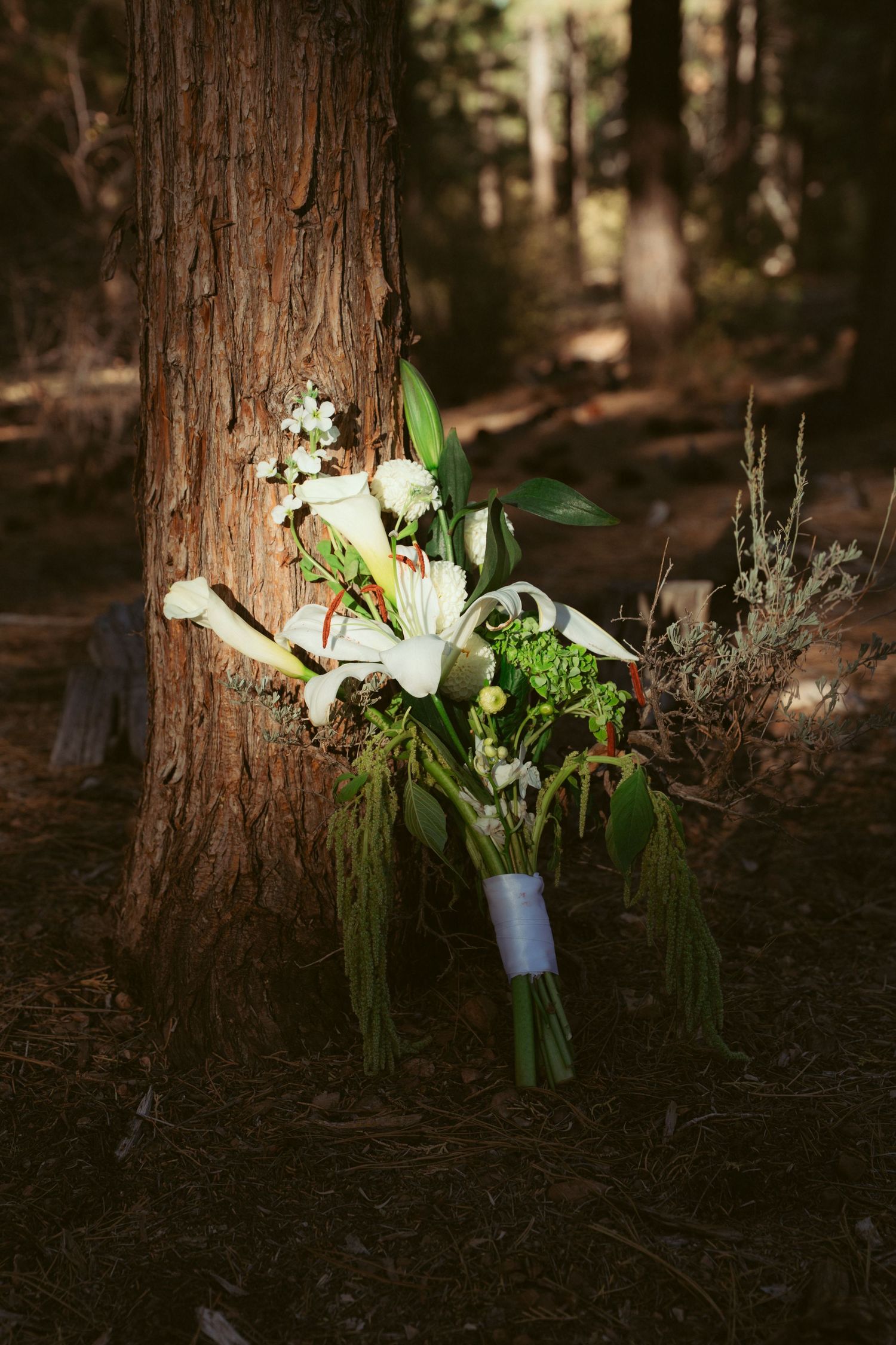 White lily bouquets arranged against tree trunks in a forest setting.