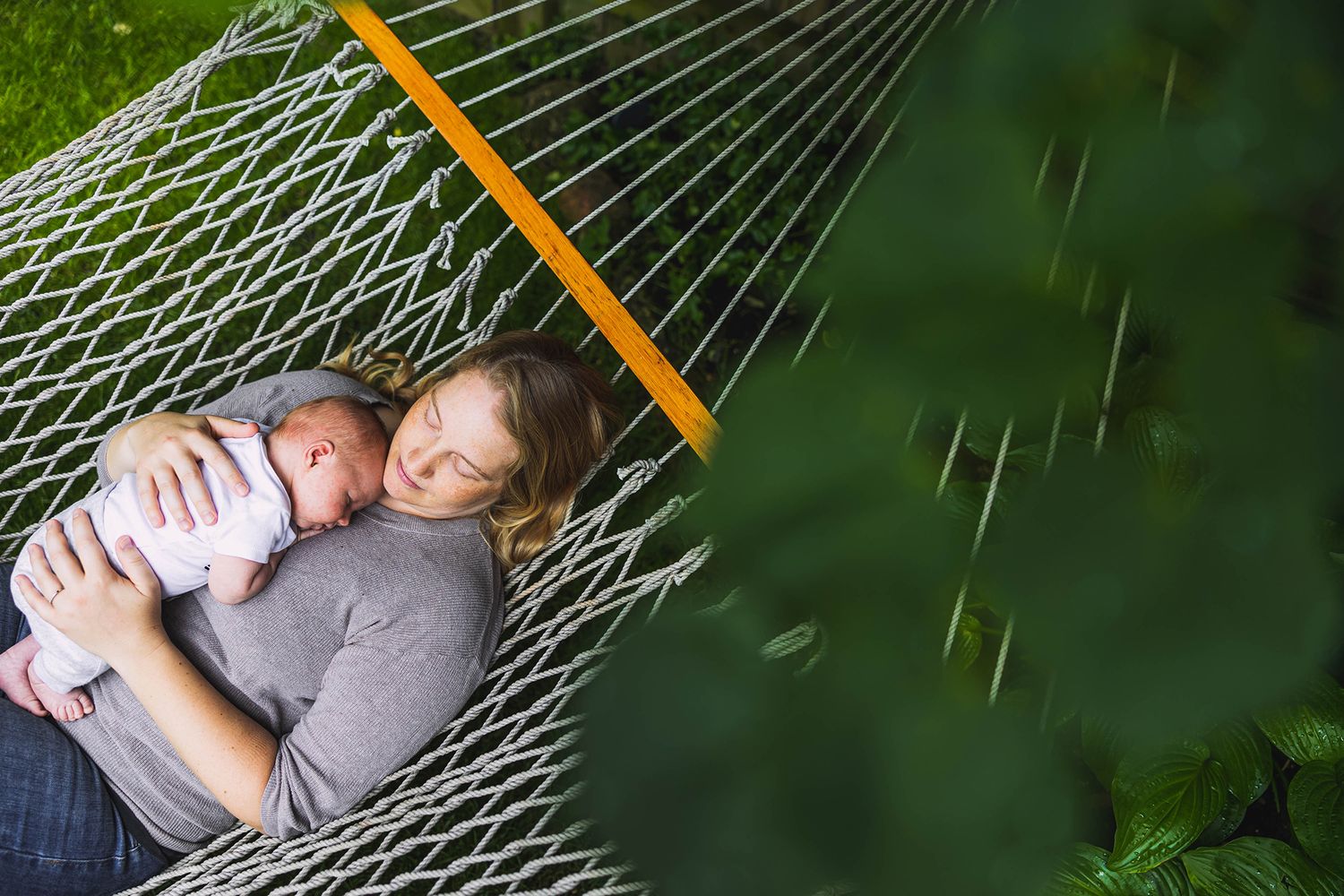 People relaxing together in a hammock surrounded by lush green foliage.
