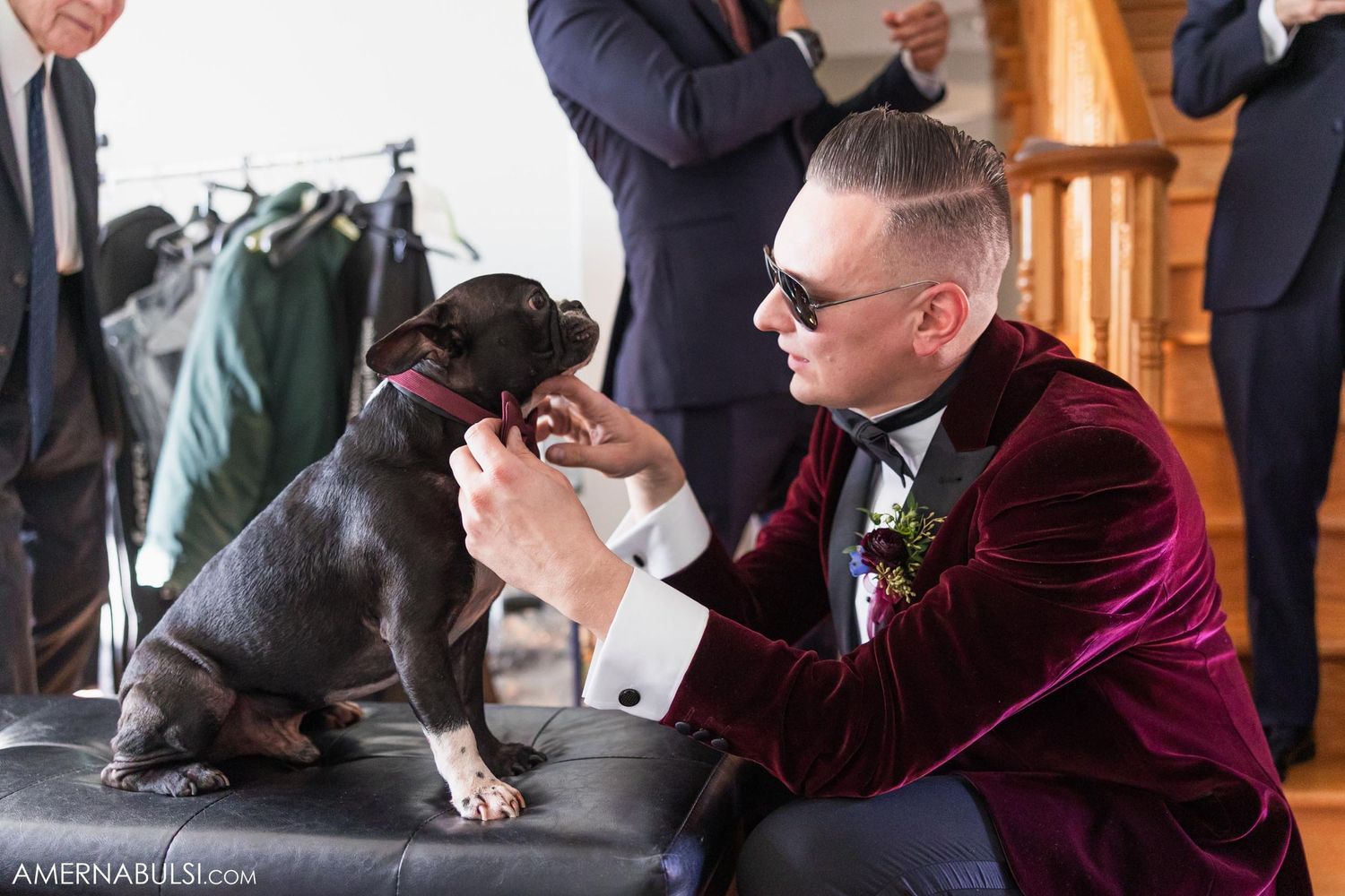 Person in burgundy velvet tuxedo jacket petting a gray dog on leather couch.