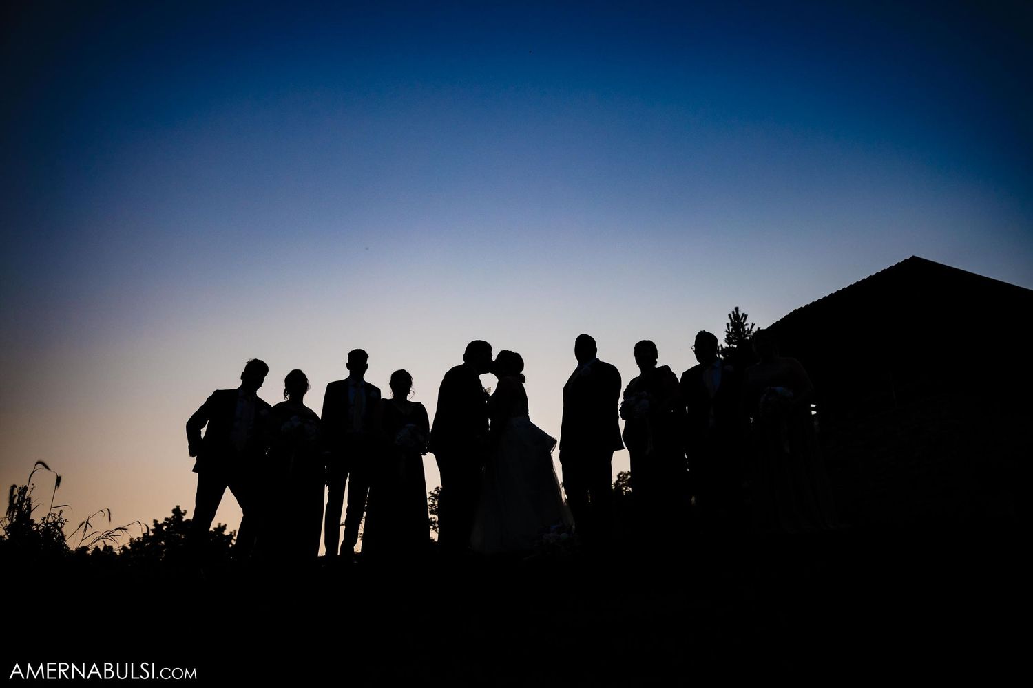 Silhouette of a wedding party group posed against a sunset sky.