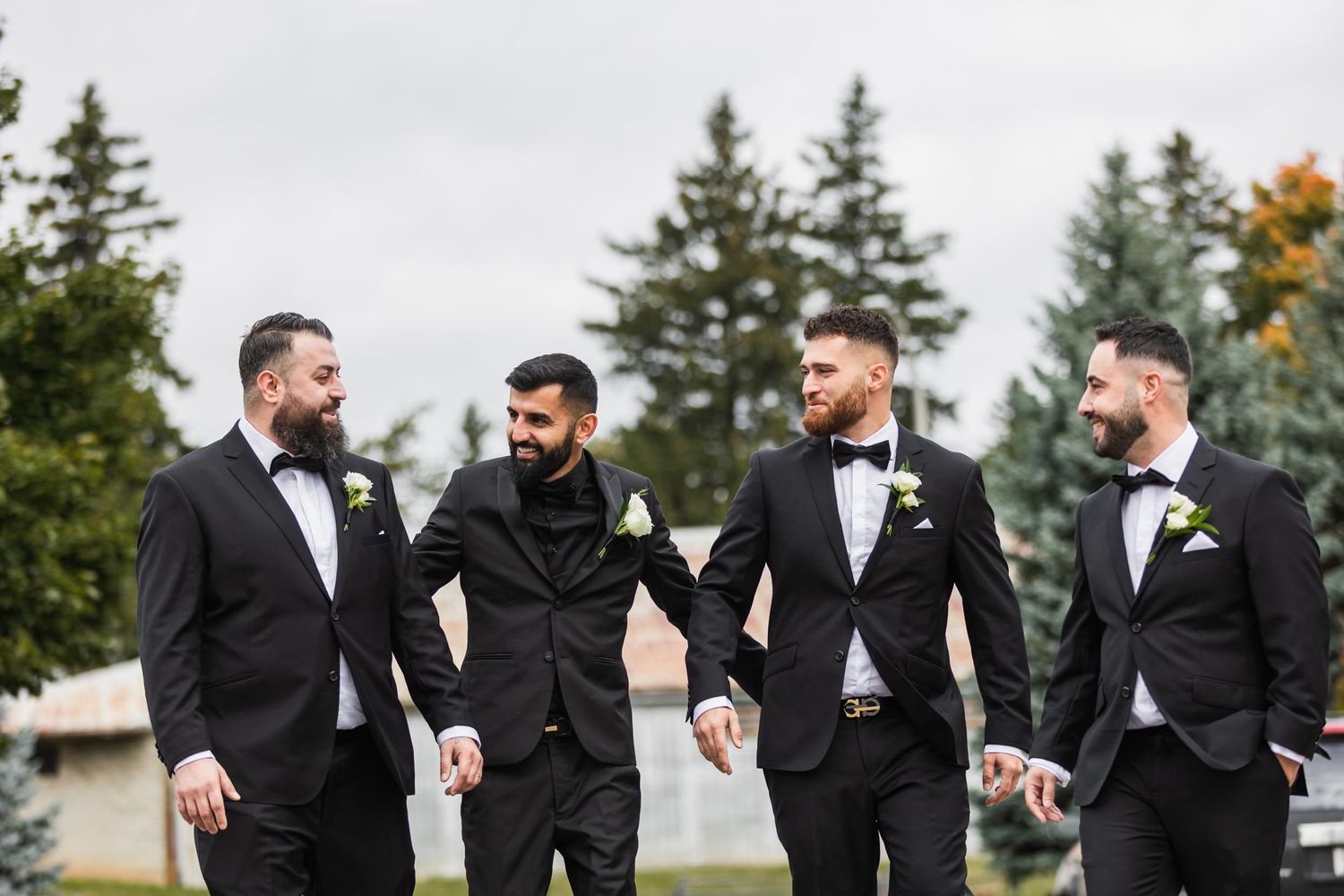 Groomsmen in black tuxedos and bowties walking together outdoors with pine trees in background.