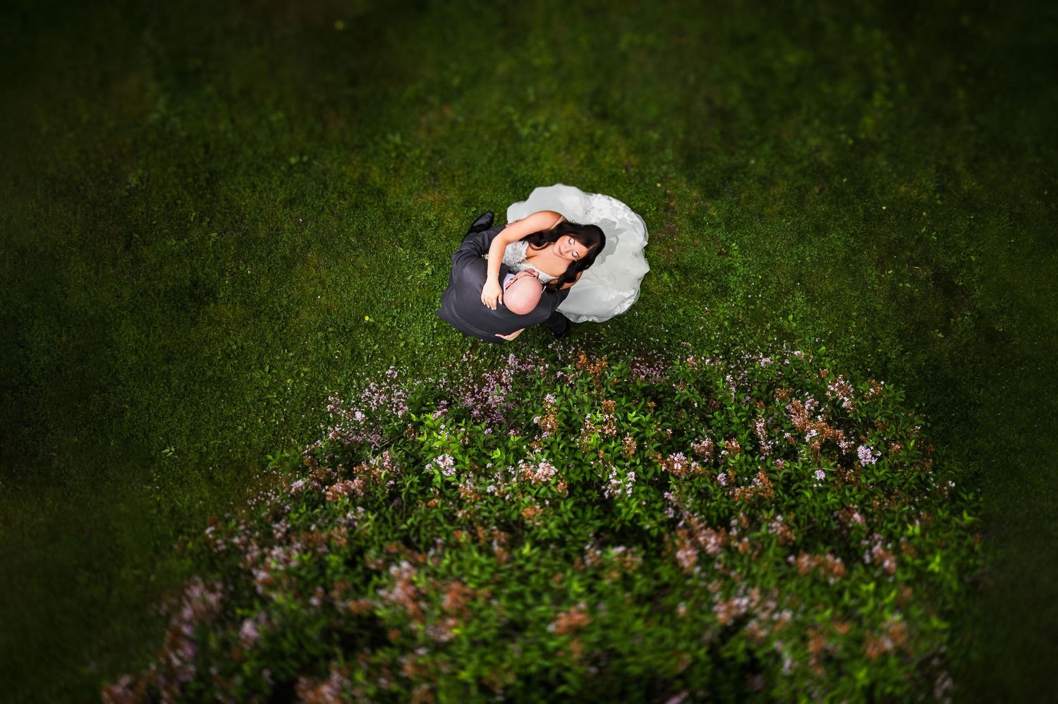Aerial view of couple lying in grass surrounded by pink flowers.