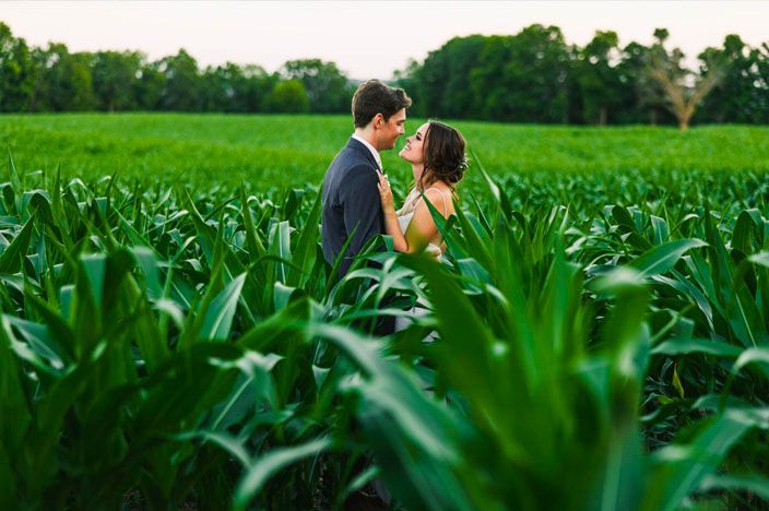 Romantic wedding photo shoot in a lush green cornfield during summer.