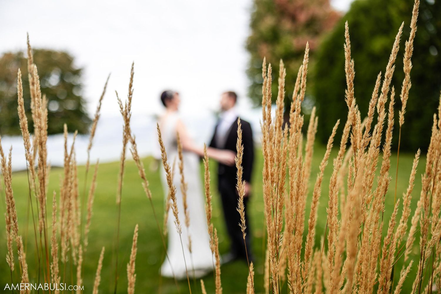 Romantic wedding couple silhouetted in the distance through tall grass in golden sunlight.