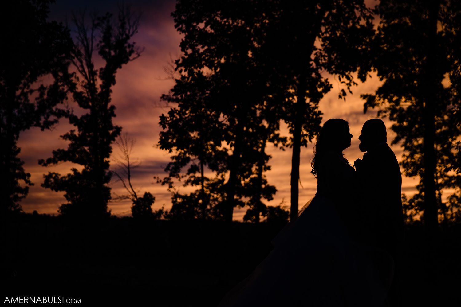 Tree silhouettes against a dusky evening sky during an outdoor wedding.