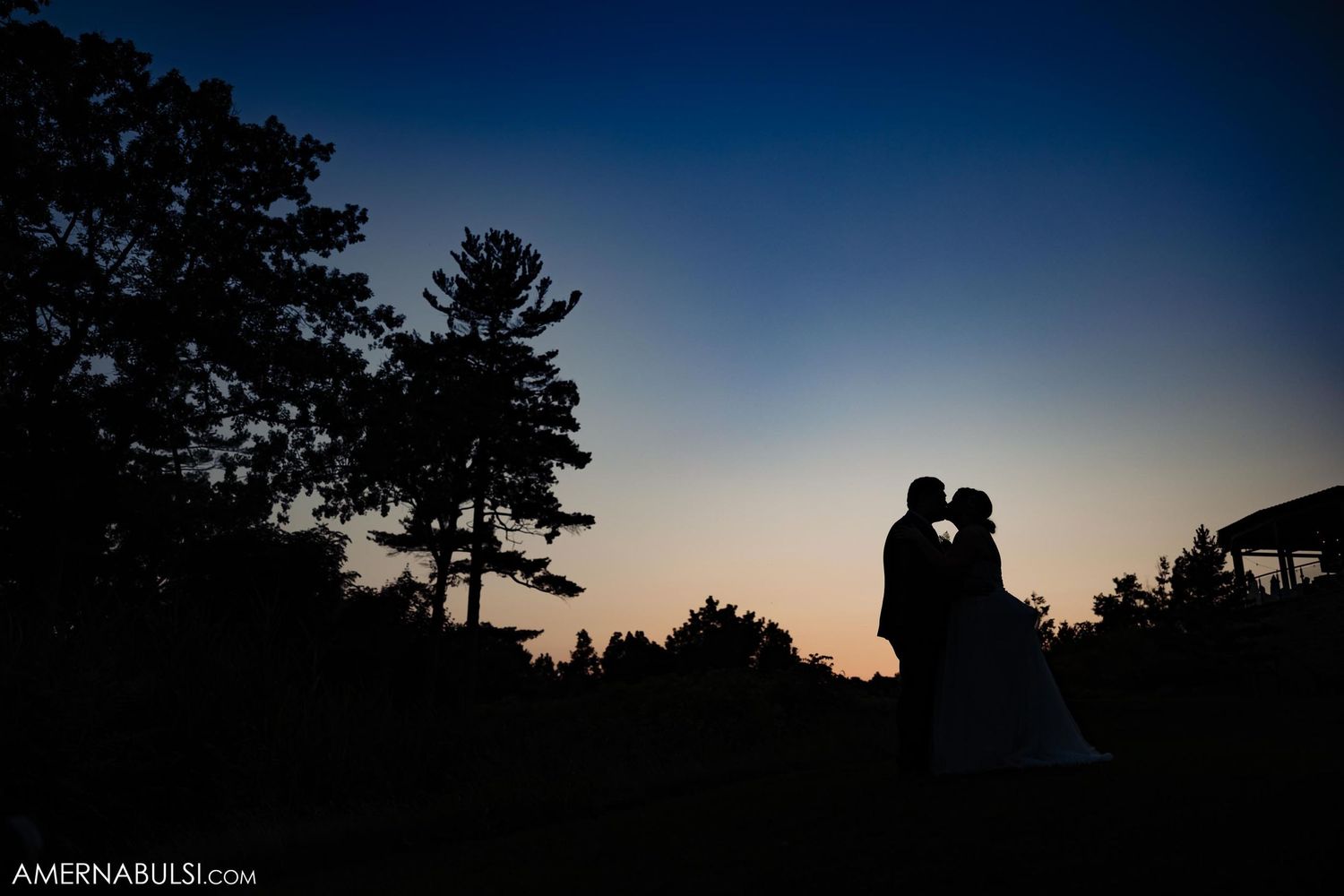 Silhouette of a couple against a deep blue sunset sky with pine trees in the background.