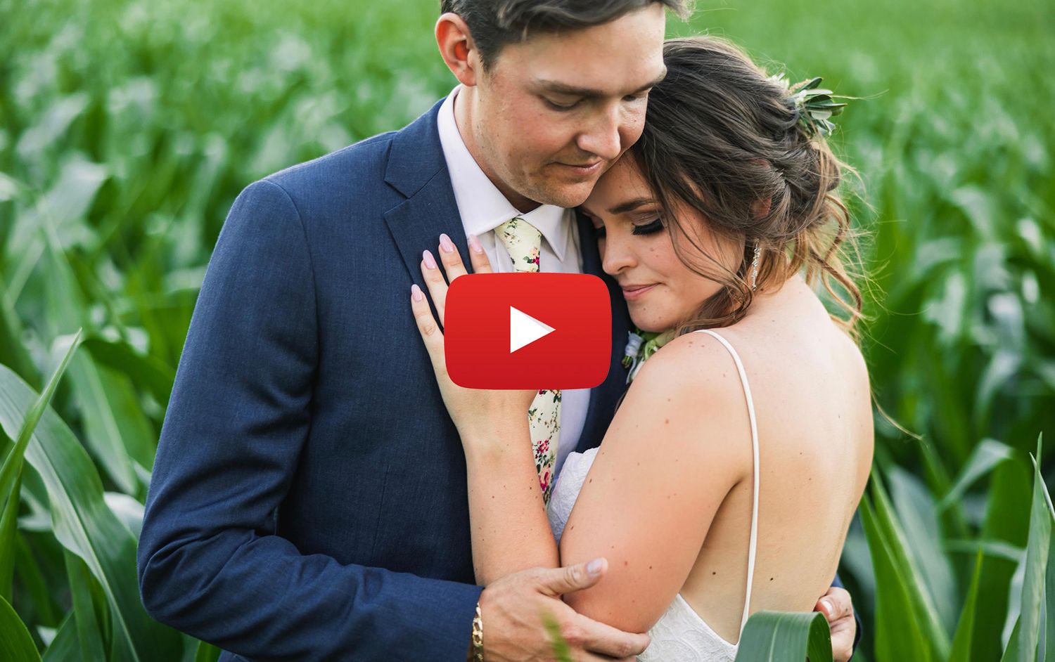 Intimate moment captured in lush green cornfield during summer photo session.
