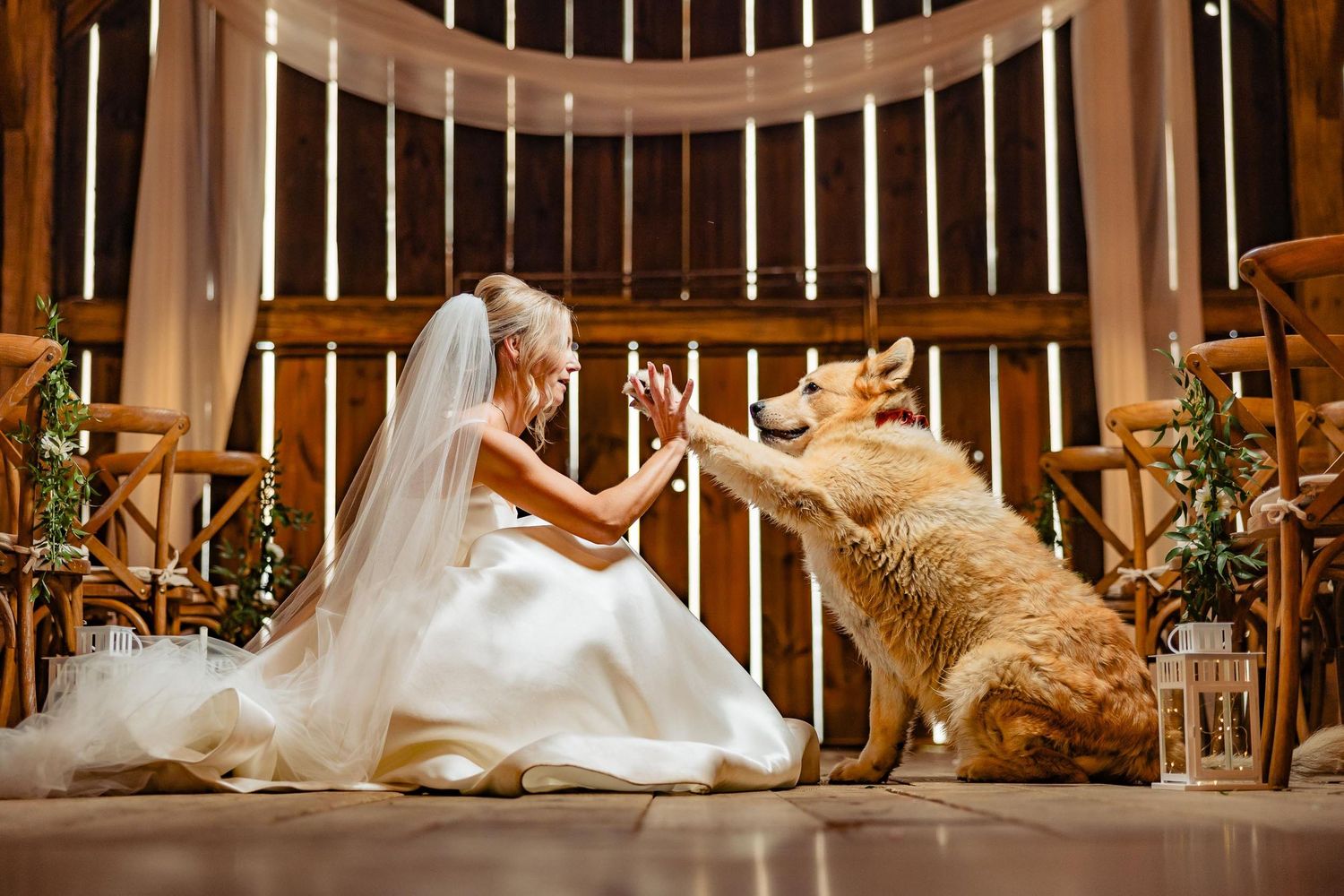 A bride in a white gown plays with a dog in an elegant venue setting.