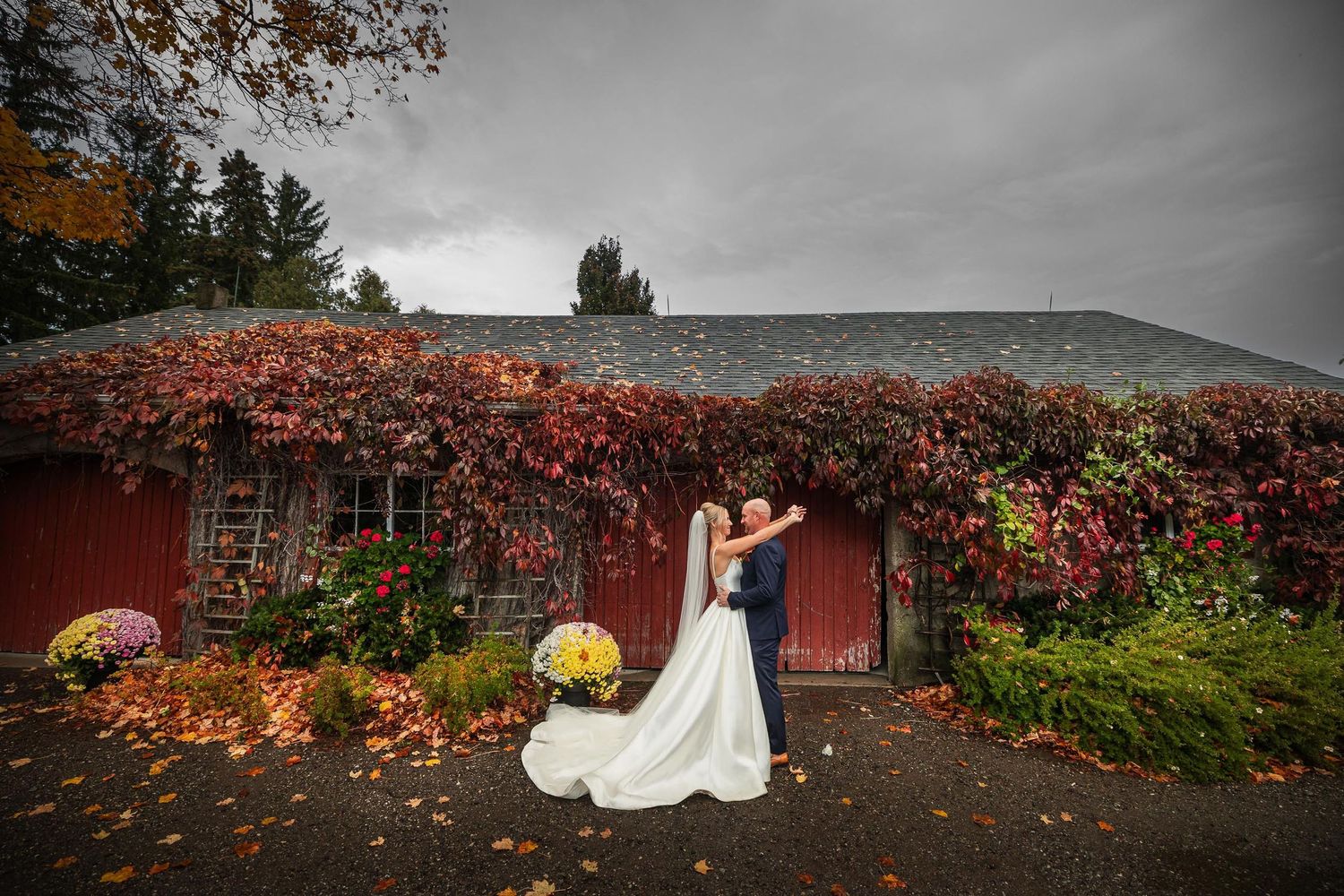 A wedding scene against a rustic barn covered in vibrant red autumn vines.