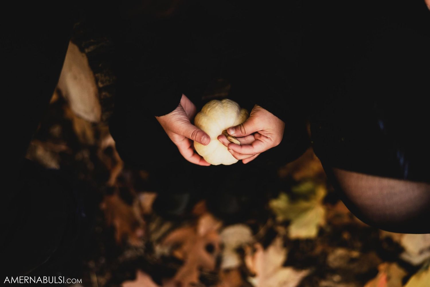 Hands holding something small and white against dark background with fallen leaves.
