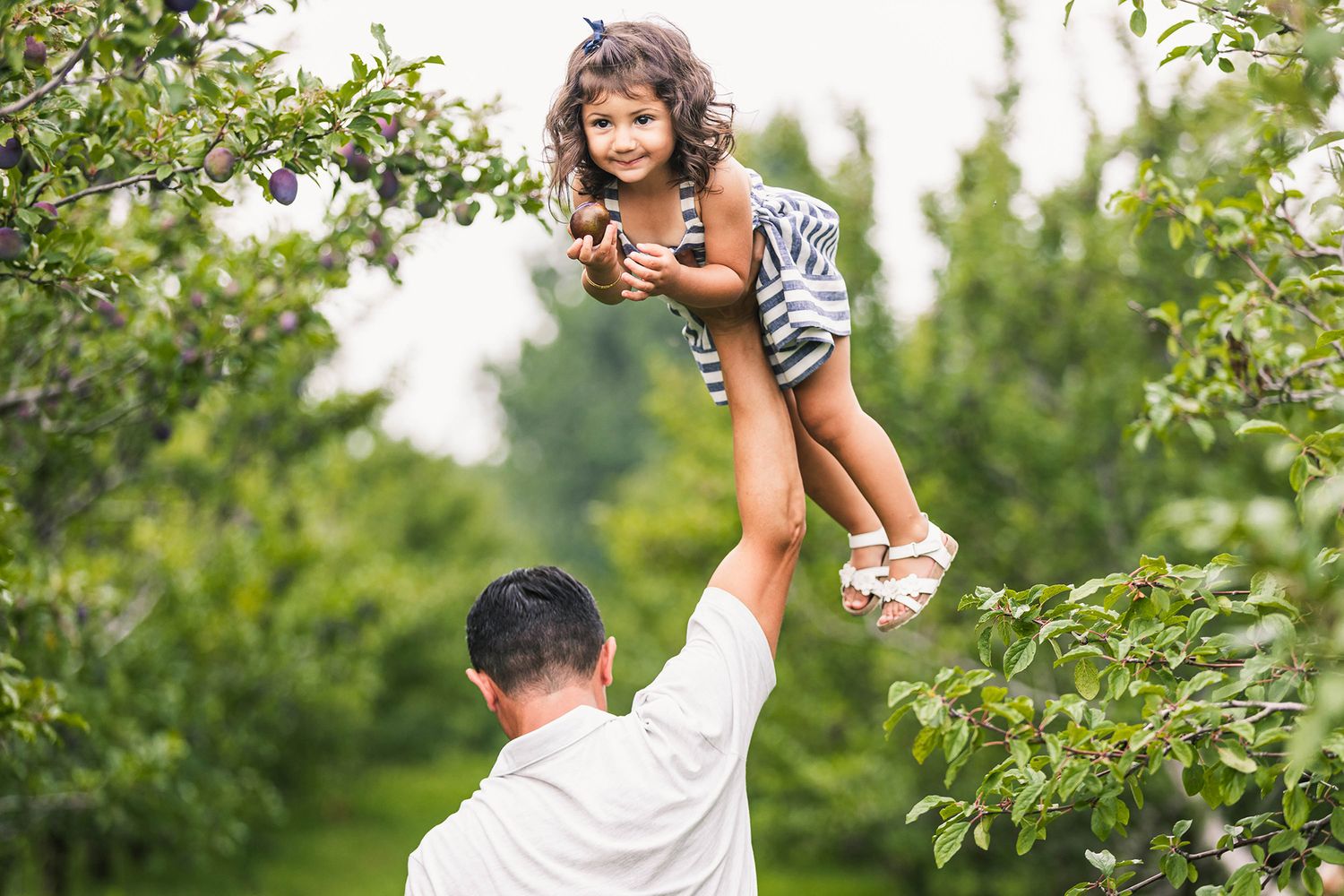 A playful moment captured in an apple orchard during a family photoshoot.