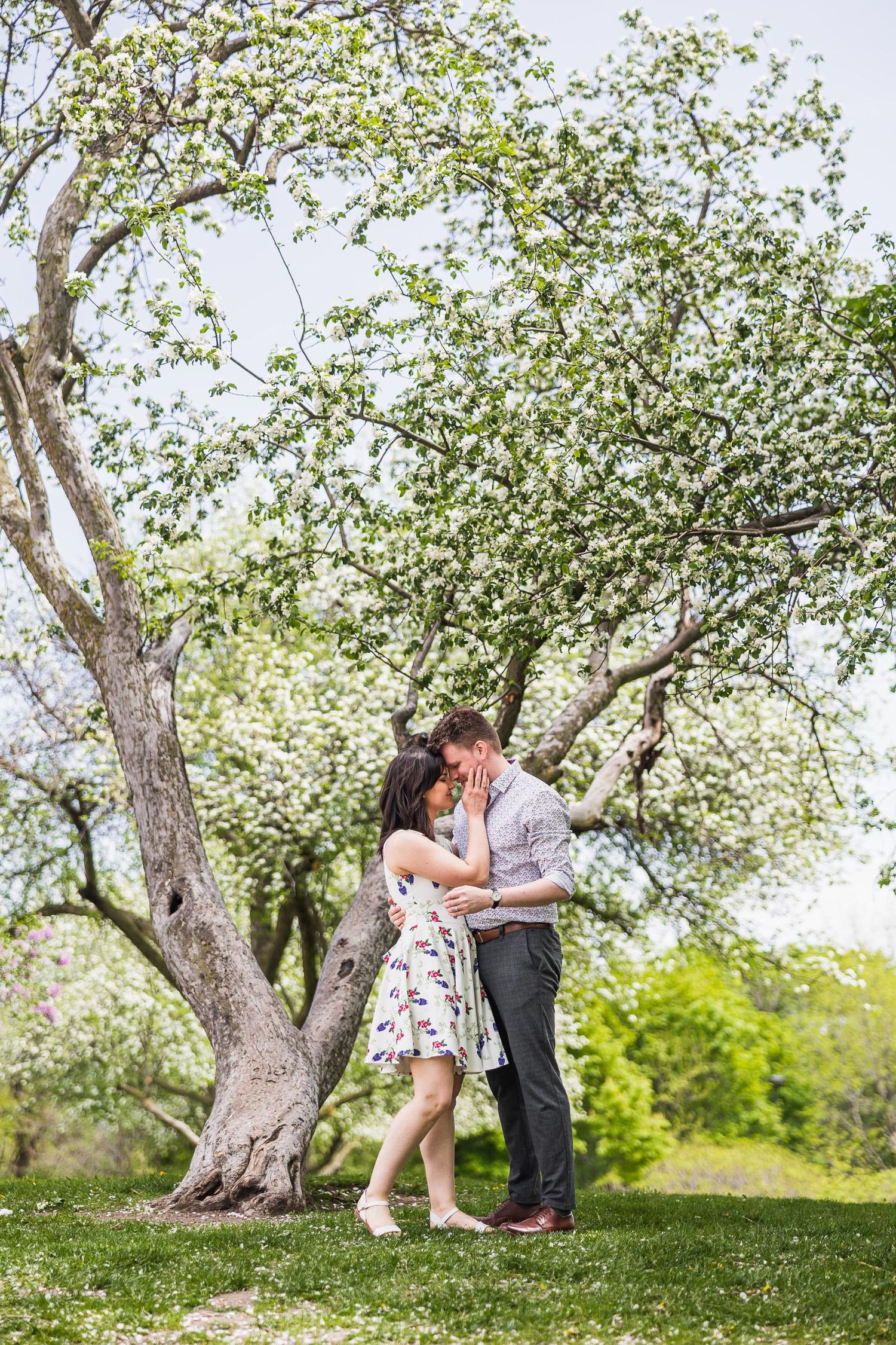 Couple embracing under a blooming spring tree in a lush green park setting.