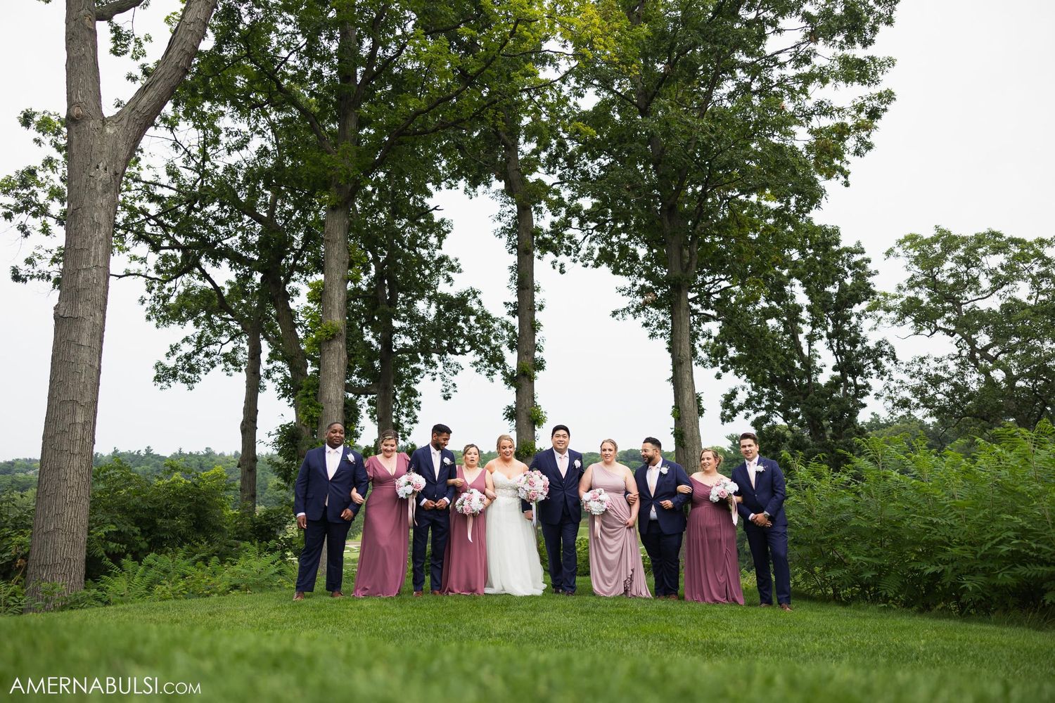 Wedding party lined up on a grassy hilltop under tall trees for a group photo.