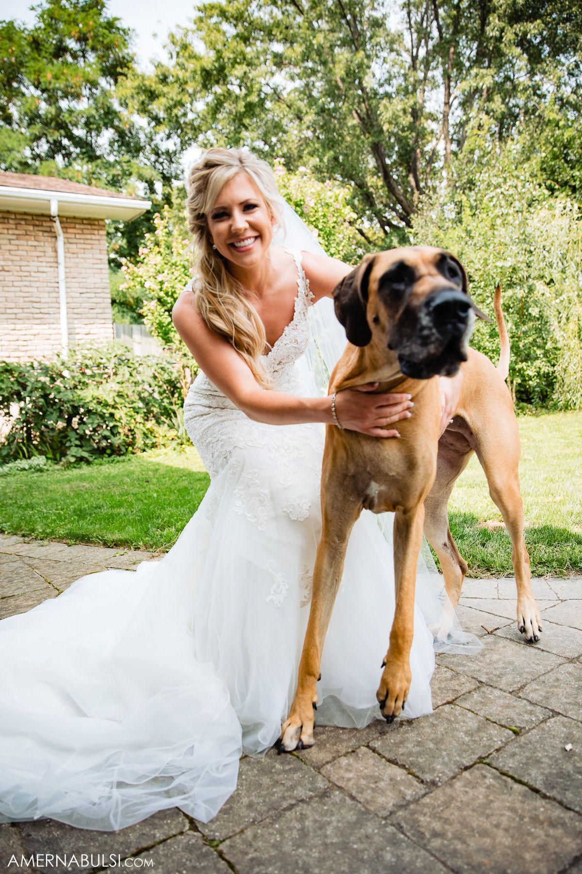 Bride in white dress plays with large brown dog on stone patio.