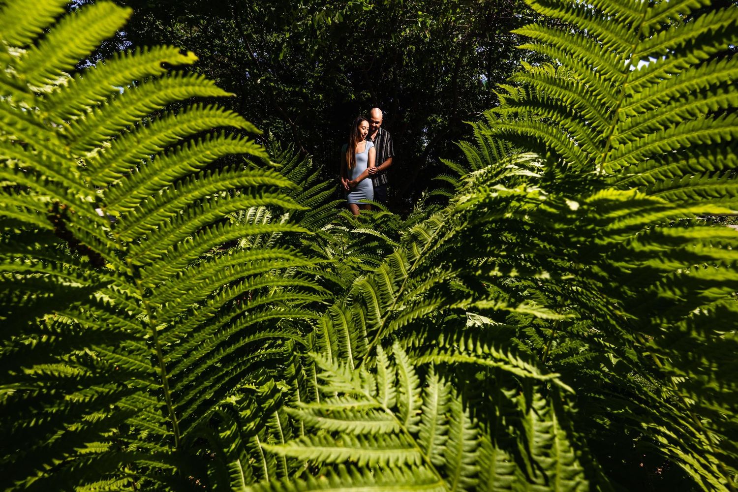An aerial view of towering ferns framing a couple in a garden.