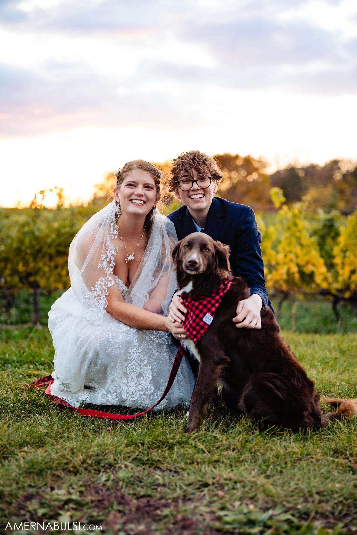 Wedding photo in vineyard at sunset with couple and their brown dog wearing red plaid bandana.