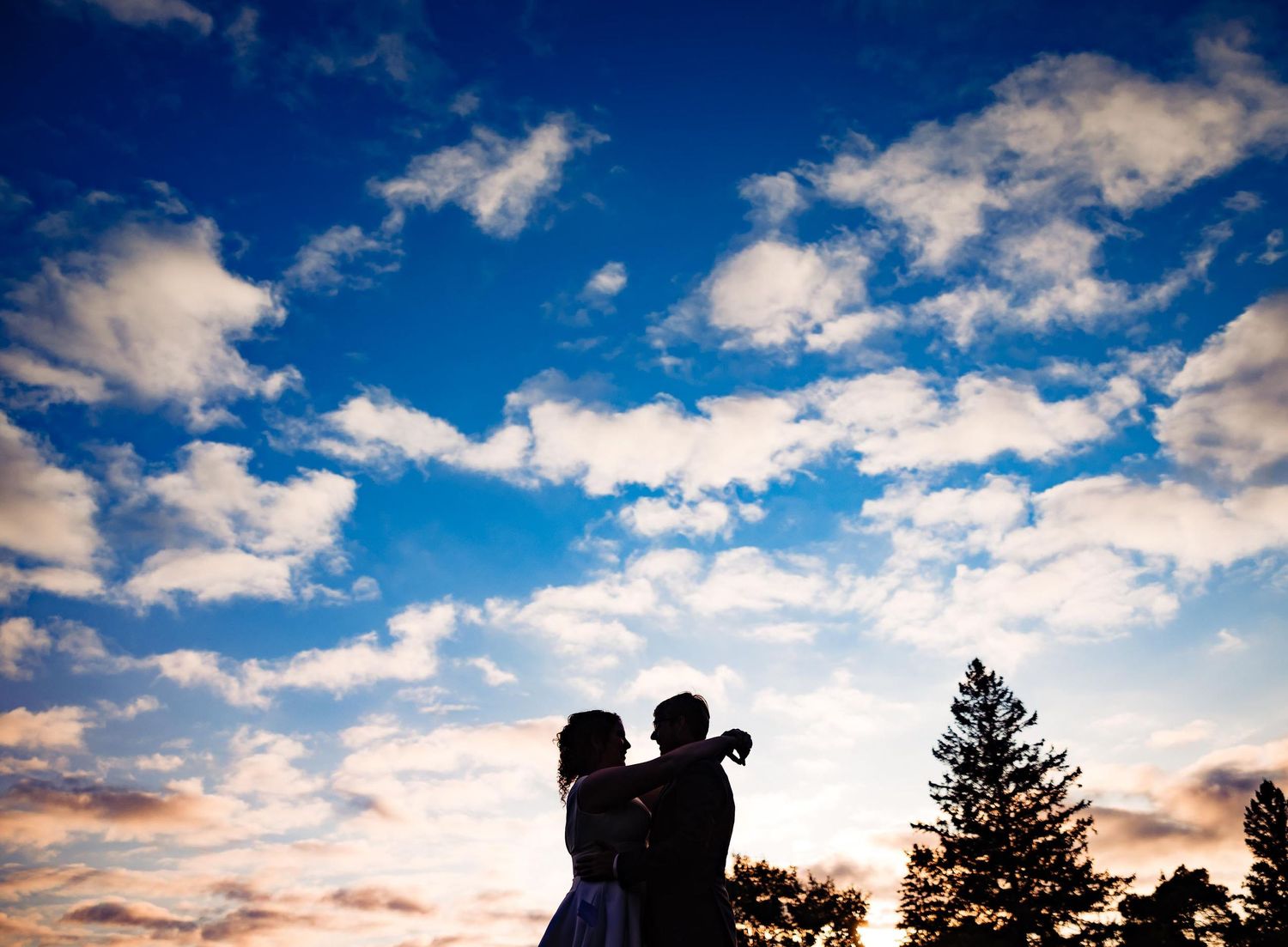 Silhouettes against vibrant sunset sky with fluffy clouds and pine tree in background.