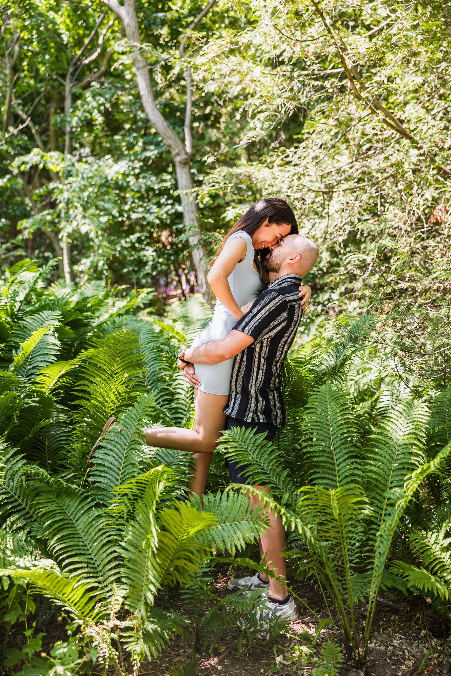 A couple embraces among lush ferns in a sunlit forest setting.