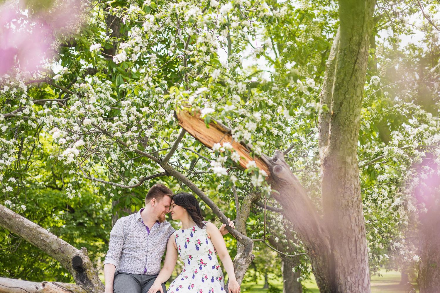 Romantic spring engagement photo under blooming trees with soft pink bokeh.