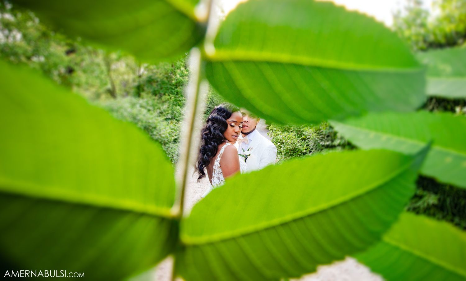 Fresh green banana leaves creating natural patterns in bright sunlight.