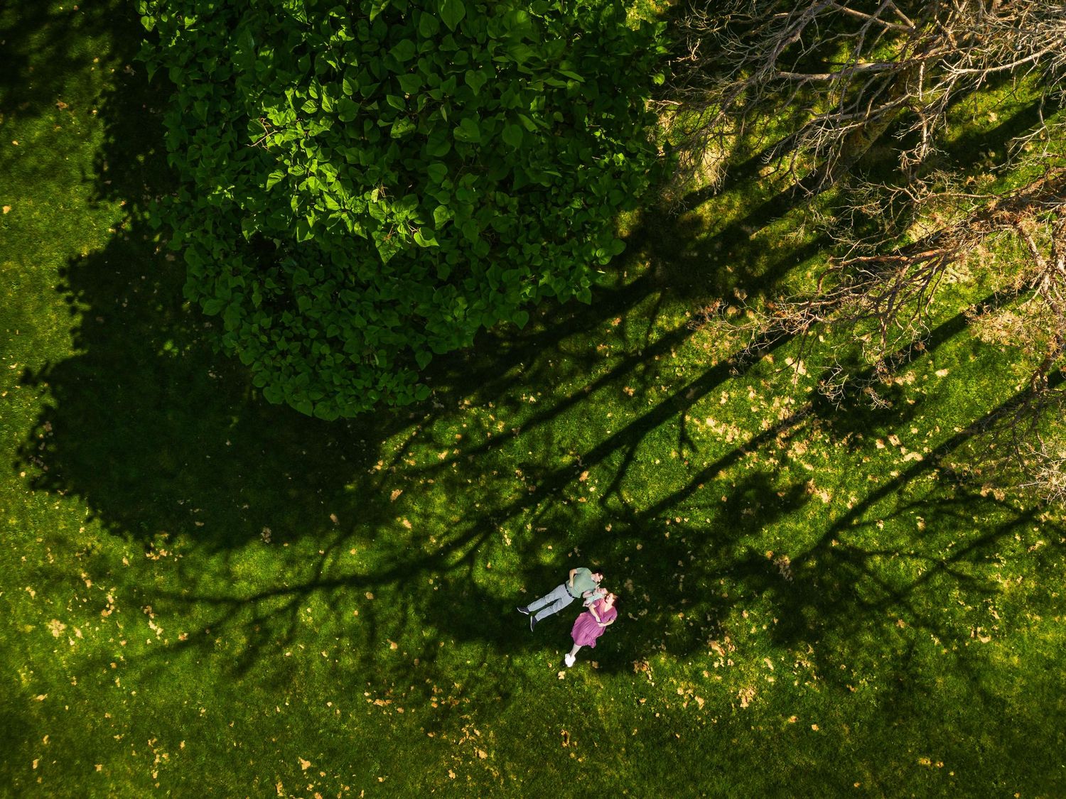 Aerial view of couple lying on lush green grass surrounded by tree shadows.