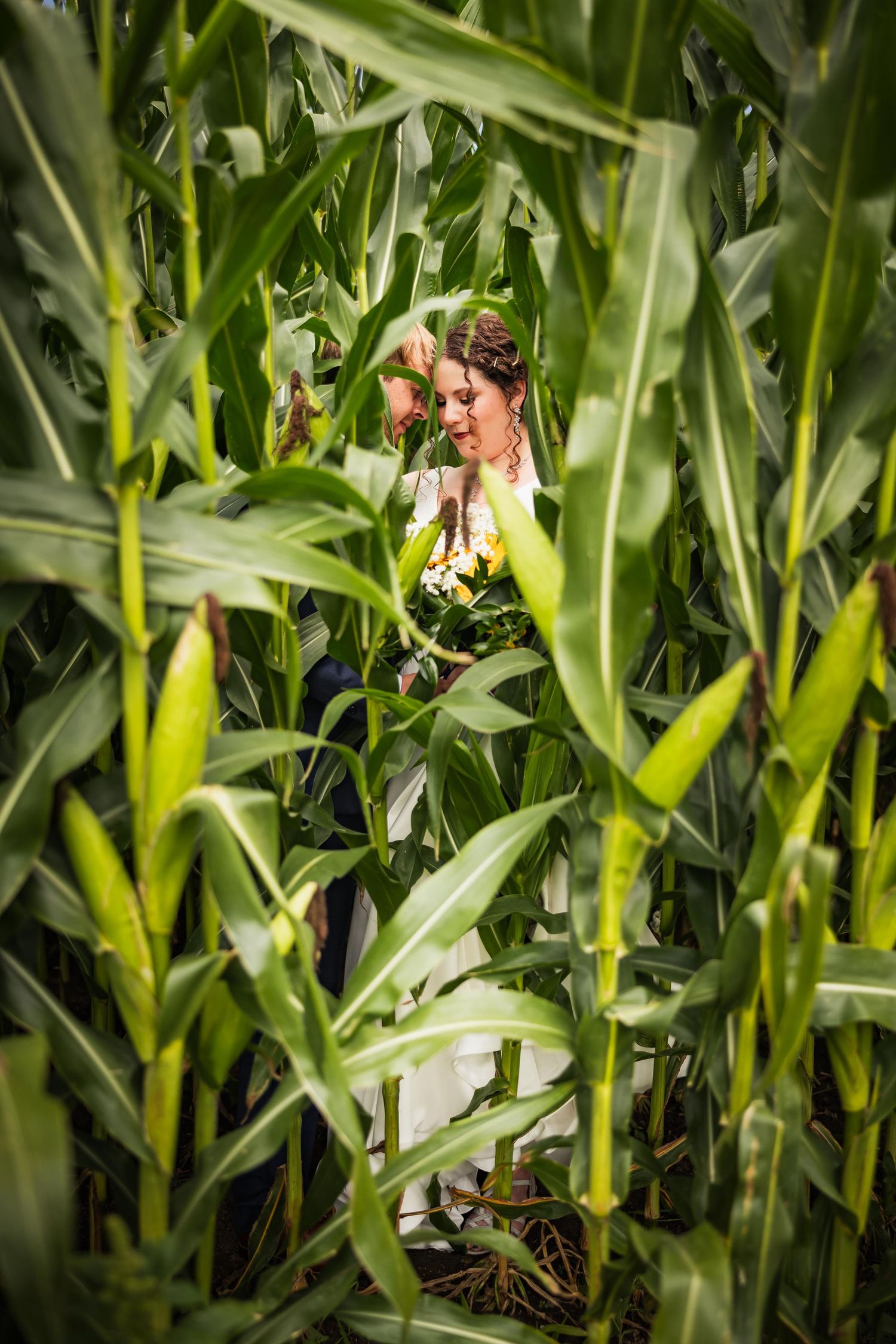 Romantic couple poses for photos in a lush green cornfield during a wedding photoshoot.