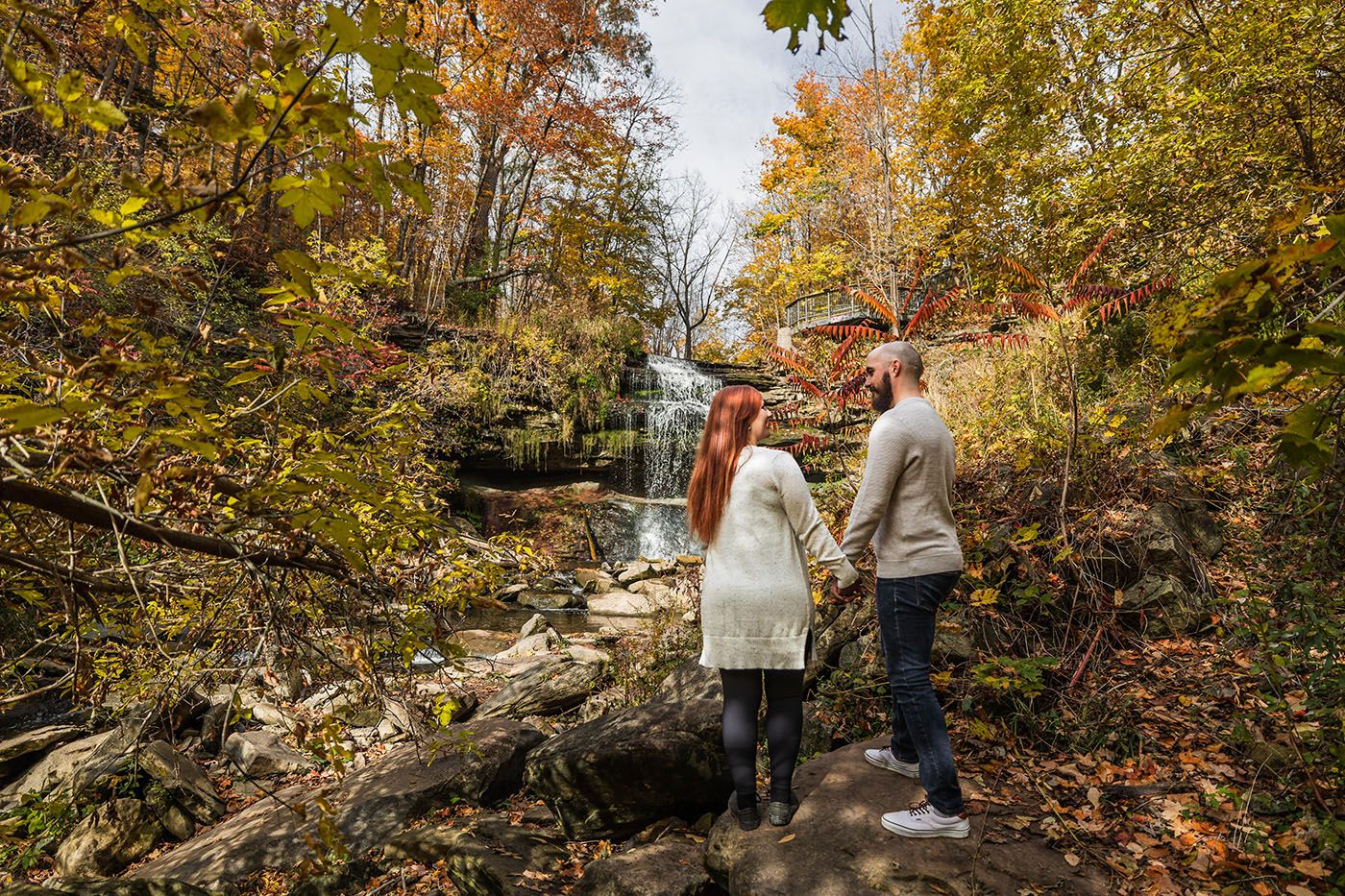 Fall foliage surrounds a scenic path through autumn woods during a photo session.