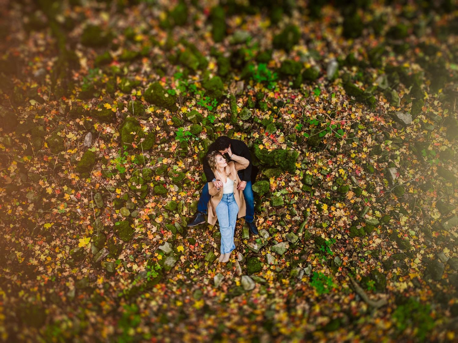 Aerial view of a couple standing in a field of pink blooming flowers.