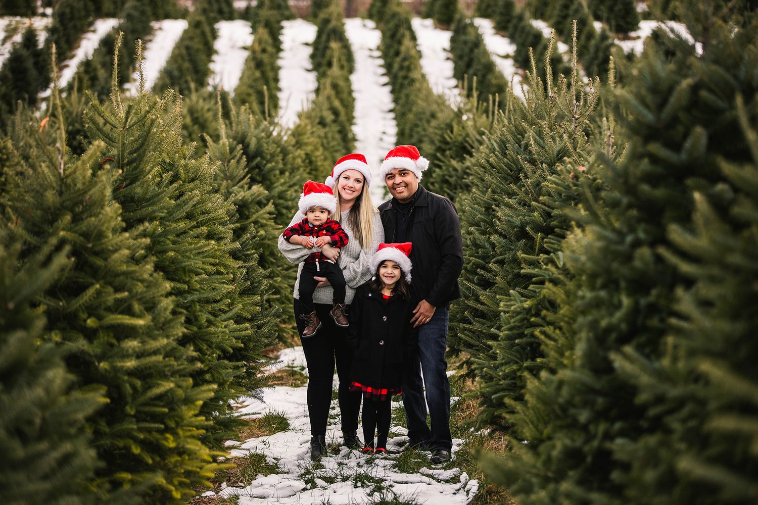 A festive group wearing Santa hats poses between rows of evergreen Christmas trees in the snow.
