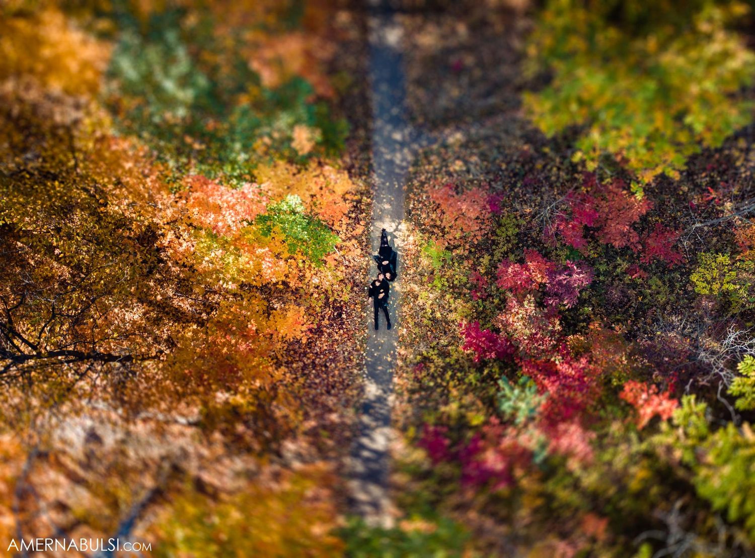 Tilt-shift photograph of tiny figure on bridge surrounded by autumn colors.