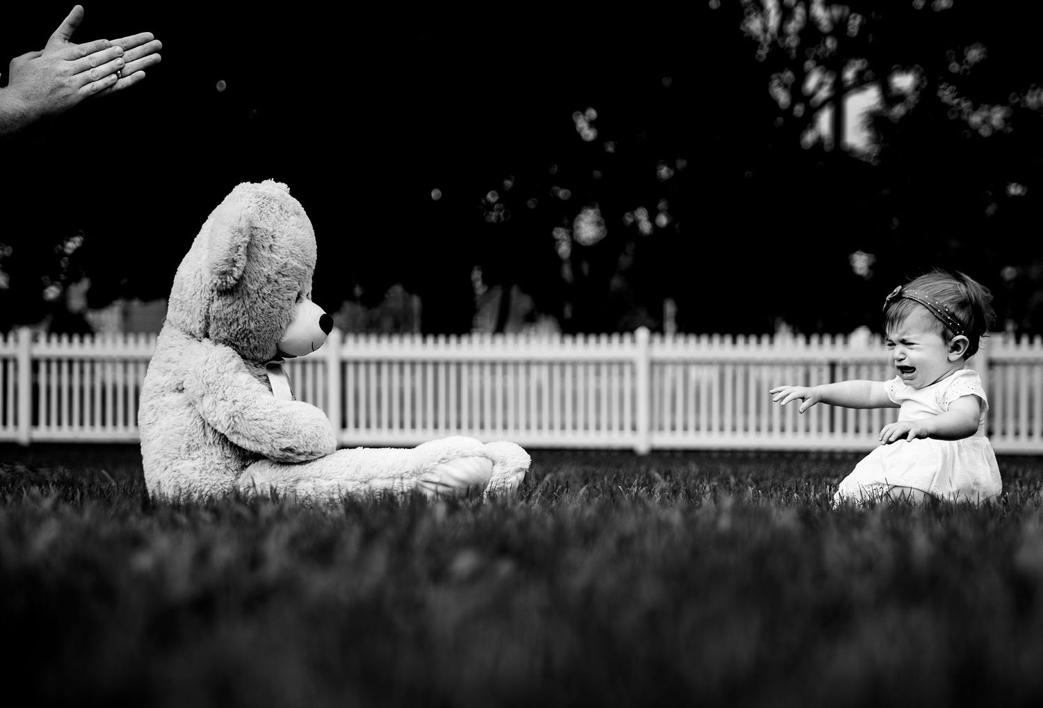 Black and white image showing teddy bears lying in grass with a white picket fence in background.