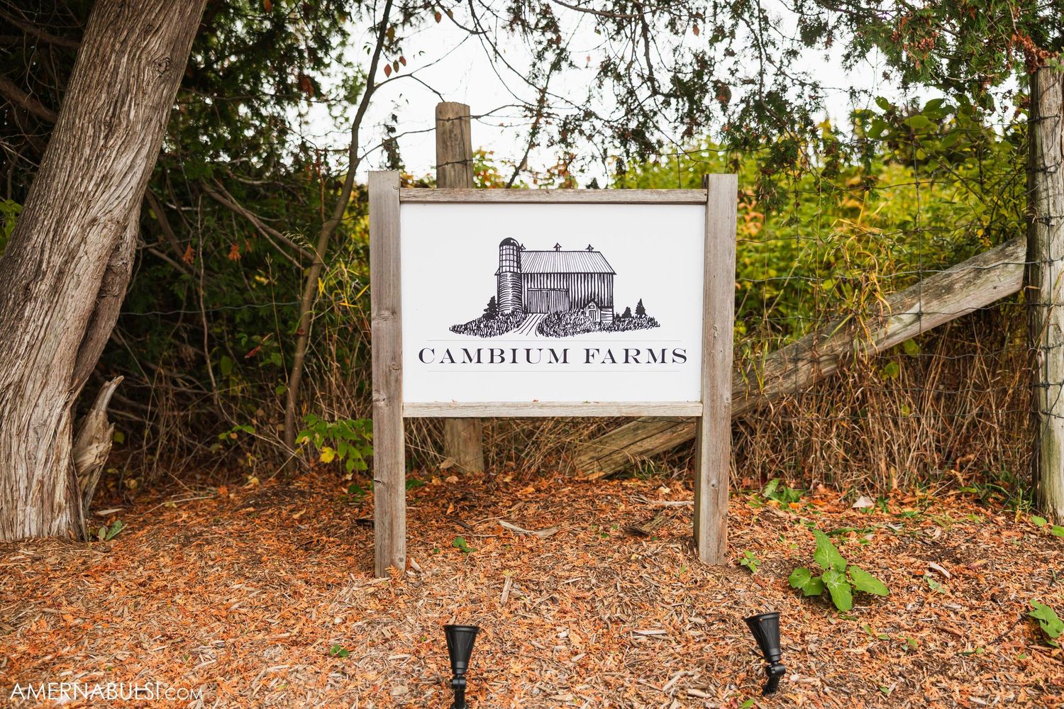 Cambium Farms venue sign displayed on a wooden post surrounded by trees.