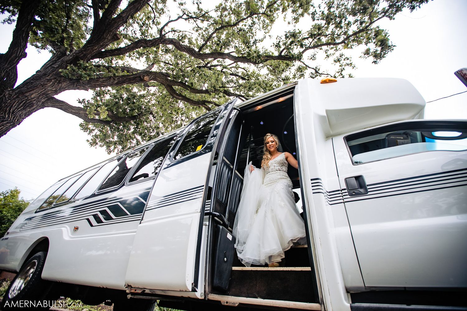 Classic white wedding limousine under tree canopy for bridal transportation.