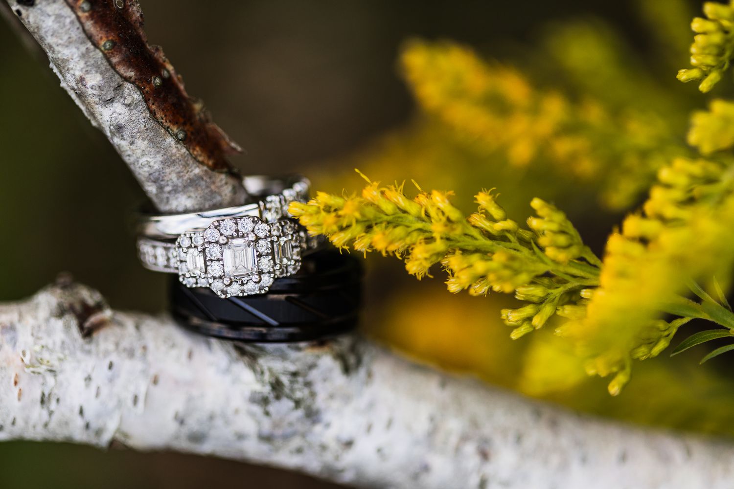 Close up detail shot of birch bark and yellow flowers creating natural wedding decor.