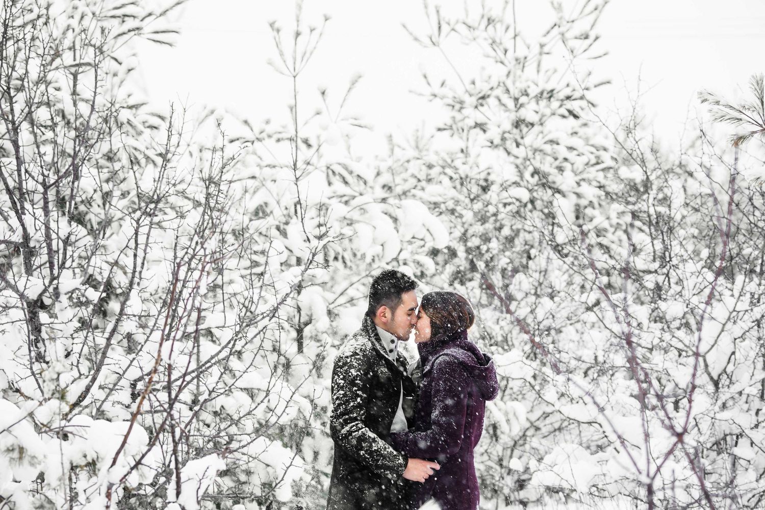 Romantic winter engagement session among snow-covered branches.