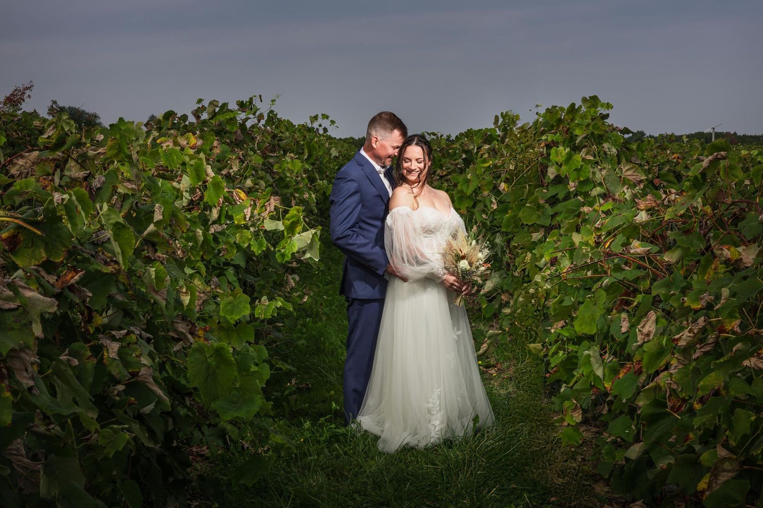 A wedding couple poses intimately among lush vineyard rows at dusk.