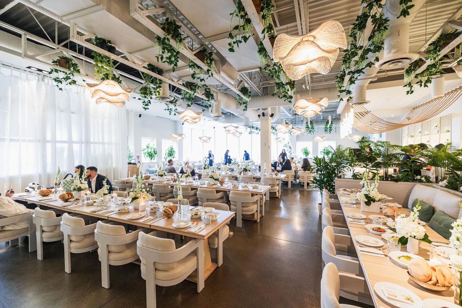 Modern restaurant reception venue decorated with hanging greenery and white table settings.