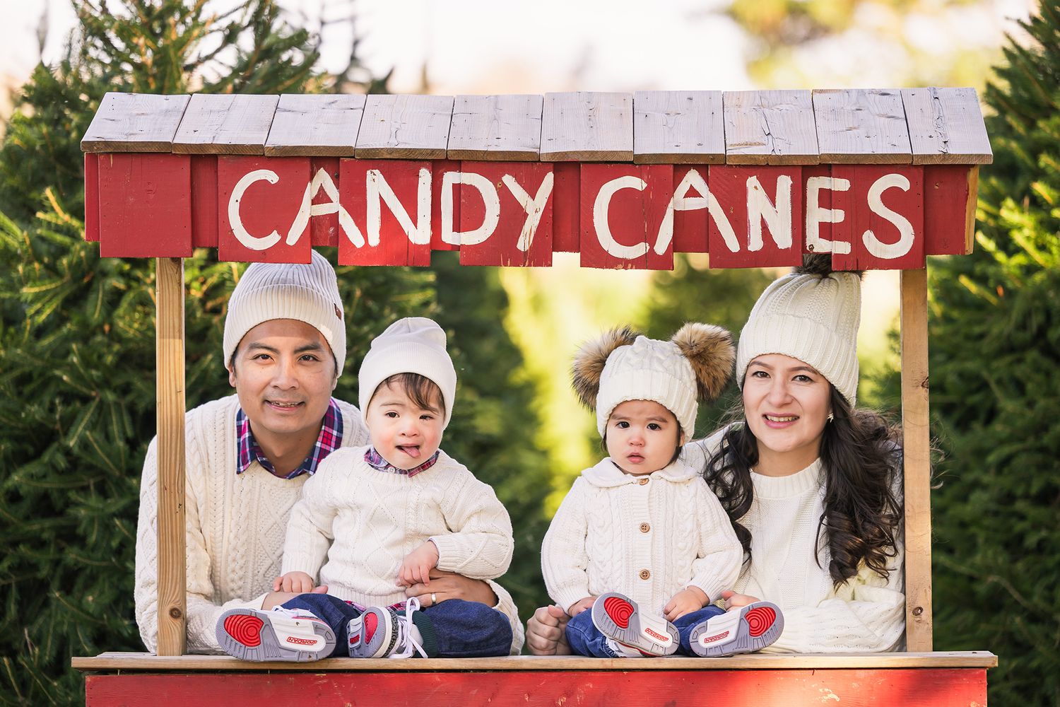 Family group photos at a candy cane themed holiday photoshoot outdoors.