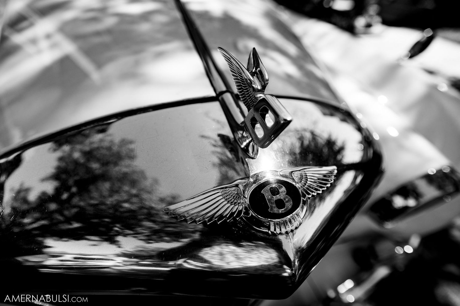 Close-up black and white photograph of a vintage Bentley hood ornament with wings against a reflective surface.