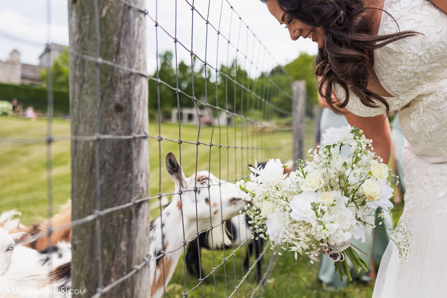 White bouquet and bridal dress detail near rustic fence with farm animal peeking through.