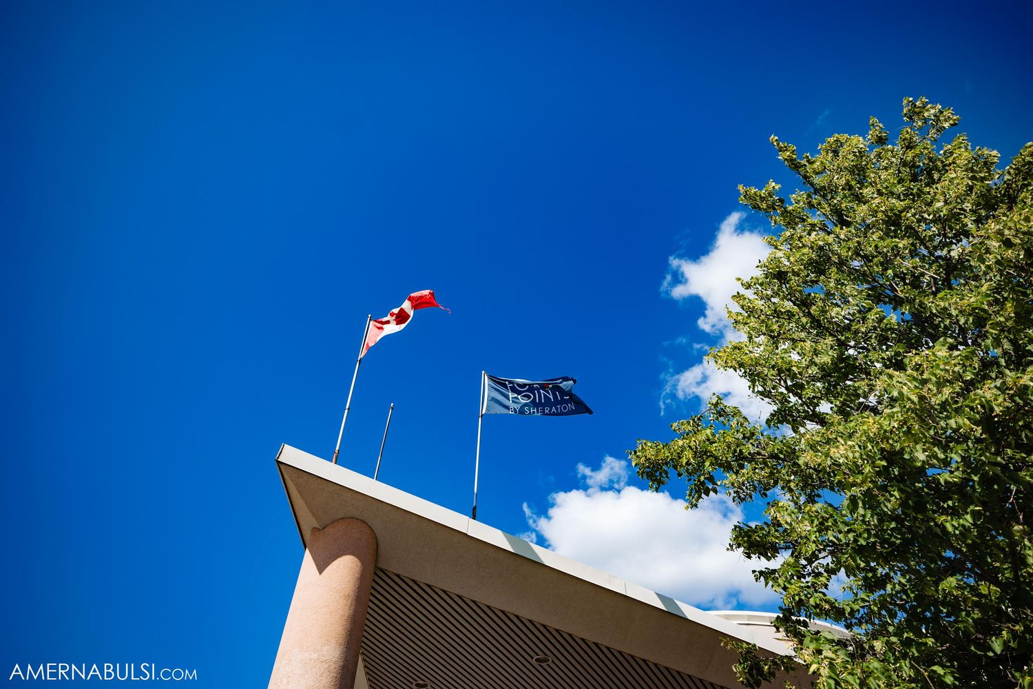 Canadian and secondary flags waving against bright blue sky with green tree in background.
