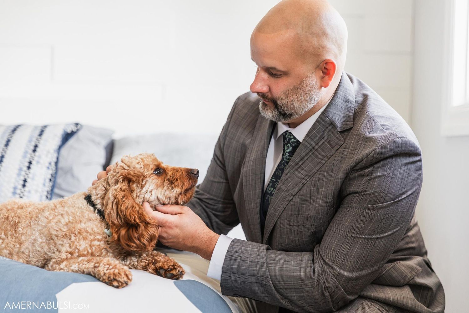Person in grey suit petting a fluffy goldendoodle dog on couch.