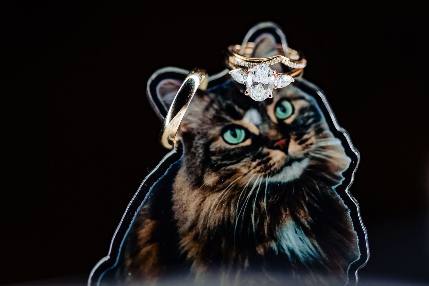Diamond wedding ring set displayed on a decorative cat cutout against a dark background.
