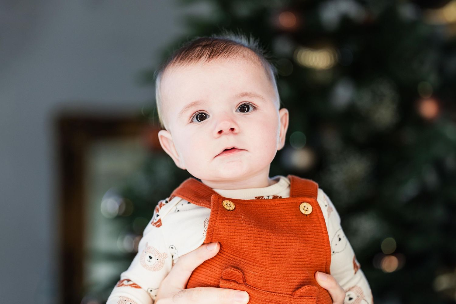 Close-up of baby in orange overalls and patterned shirt with Christmas tree in background.