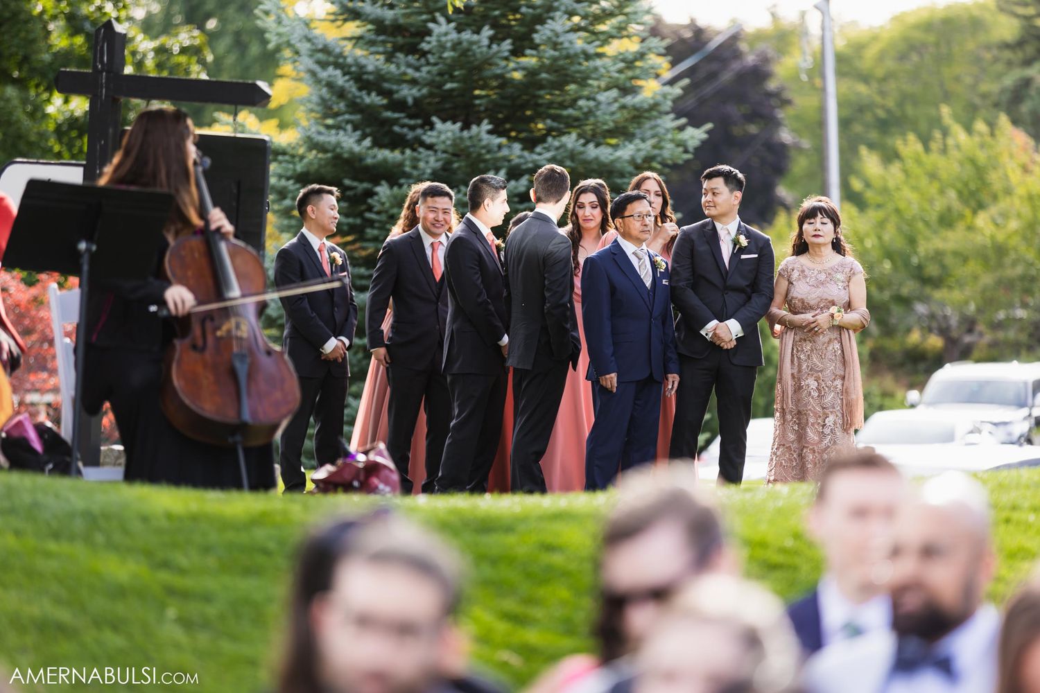 Wedding party and musicians line up for outdoor ceremony with classical instruments on a grassy lawn.